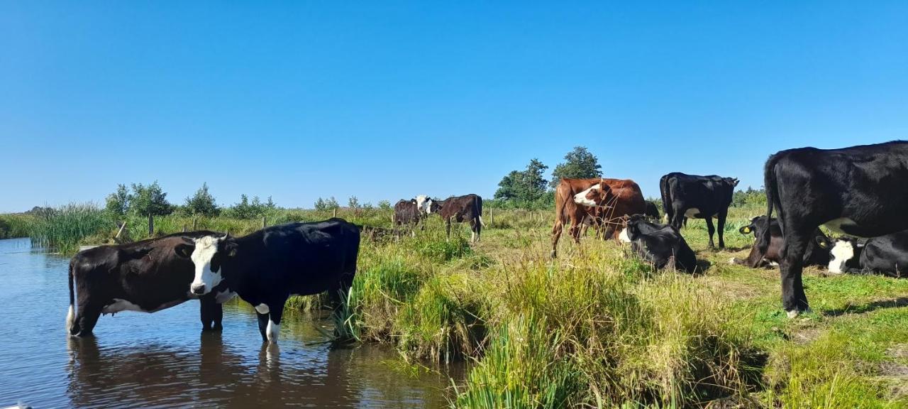 Huisje Beukers Giethoorn Eksteriør billede