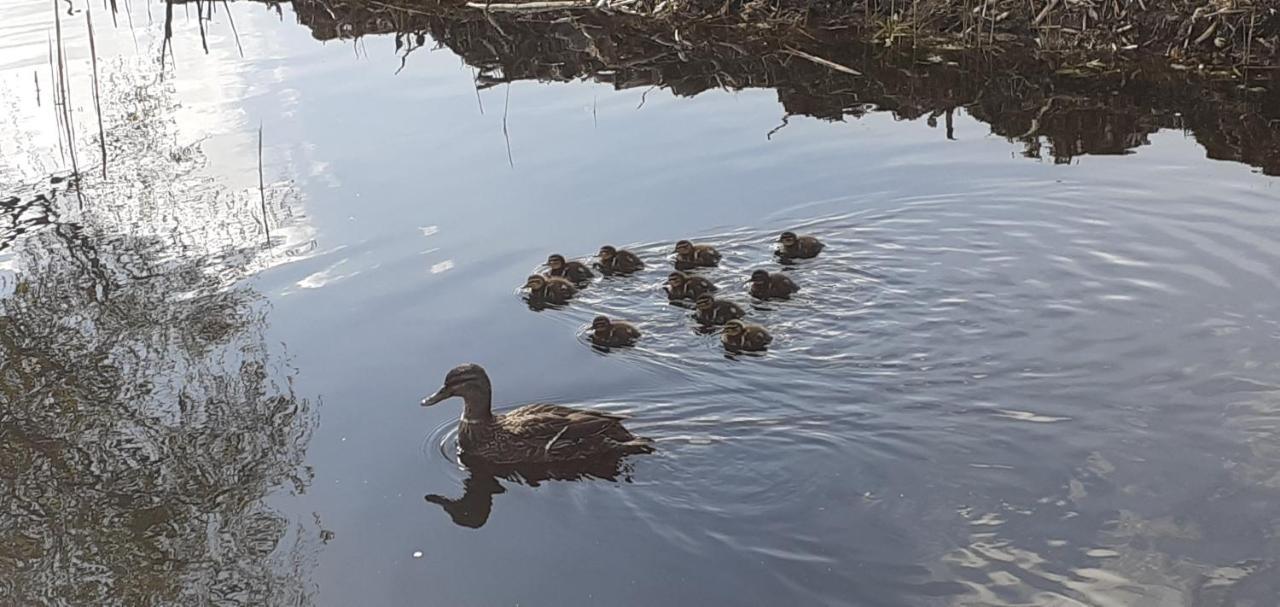 Huisje Beukers Giethoorn Eksteriør billede